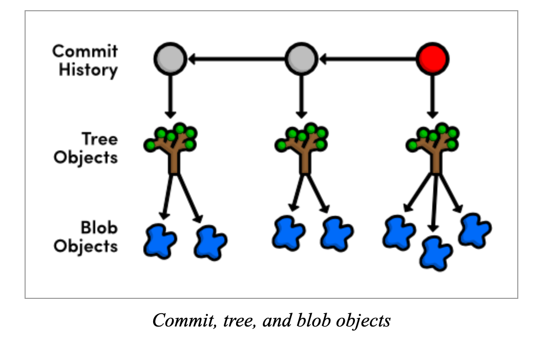 Commit, tree, and blob objects